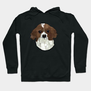 King Charles Hoodie